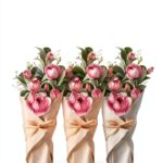 Livre Kindle La Maison du Bateau comédie romantique suspense-0