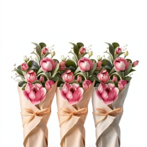 Livre Kindle La Maison du Bateau comédie romantique suspense-0